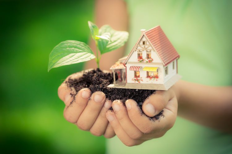 12 Eco-Friendly Tips for Bluffton South Carolina Luxury Homes