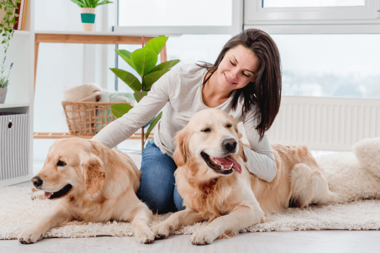 9 Tips for a Pet-Friendly House from Atlanta Modern Home Builders