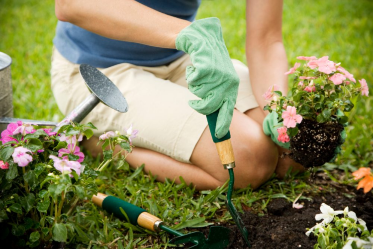 Essentials to Starting A Garden From Custom Home Builders in Beaufort, SC