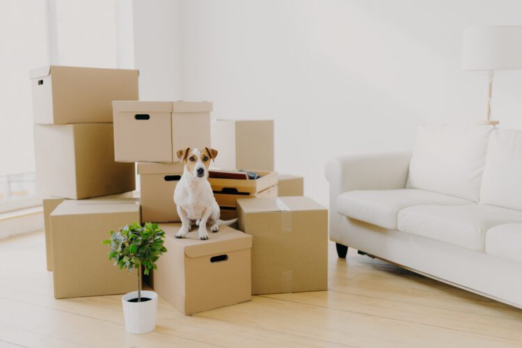 5 Tips to Help You Prepare to Move into Your New Custom Home